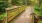 Wooden bridge on walking path in the woods
