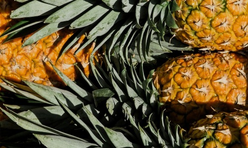 a group of pineapples