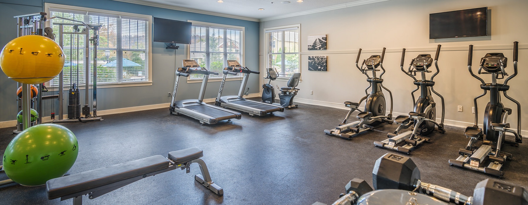 Open space gym with treadmills, ellipticals, and exercise balls